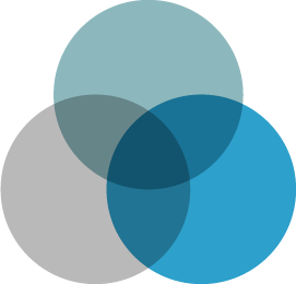 Venn Diagram Icon